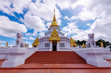 Phra Maha Chedi Thepnimittham Phra 'da Mae Salong Nok Köyü, Chiang Rai, Tayland. Chiang Rai 'de başka bir güzel pagoda.