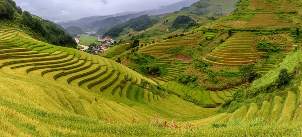 Cang Chai Yenbai Vietnam Teraslarındaki Pirinç Tarlaları Pirinç Tarlaları Kuzeybatı — Stok fotoğraf