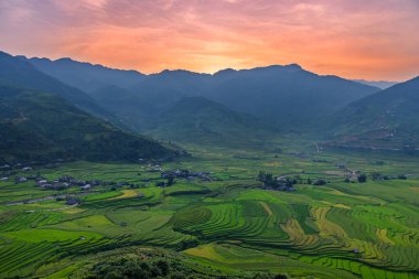 Teraslardaki pirinç tarlaları TU LE Vadisi 'nin güzel şekli, Nghia Lo ile Mu Cang Chai arasındaki yol manzarası, Yen Bai, Vietnam. Hanoi 'den 250 km uzaklıktaki çekici bir turizm merkezi..