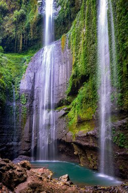 Madakaripura Şelalesi (Probolinggo) Doğu Java, Endonezya 'daki en uzun şelaledir. Şelale Bromo Tengger Semeru Milli Parkı 'nda yer almaktadır.