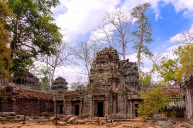 Angkor Thom, Siem Reap, Kamboçya 'da zamanla yıkılan Ta Prohm tapınağı. Ta Prohm tapınağı eski bir Khmer mimarisidir. 