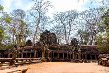 Angkor Thom, Siem Reap, Kamboçya 'da zamanla yıkılan Ta Prohm tapınağı. Ta Prohm tapınağı eski bir Khmer mimarisidir. 