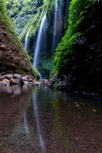 Madakaripura Şelalesi (Probolinggo) Doğu Java, Endonezya 'daki en uzun şelaledir. Şelale Bromo Tengger Semeru Milli Parkı 'nda yer almaktadır.