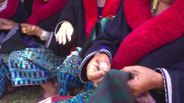 Close Female Mien Hilltribe Embroider Pattern Colored Thread Doi Mae — Stock Video