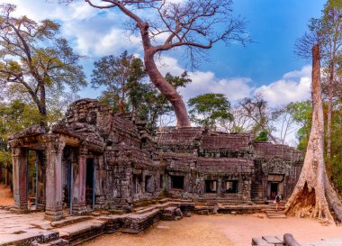 Angkor Thom, Siem Reap, Kamboçya 'da zamanla yıkılan Ta Prohm tapınağı. Ta Prohm tapınağı eski bir Khmer mimarisidir. 