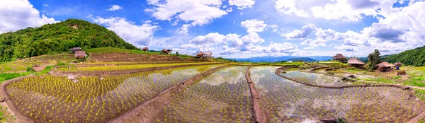 Красивый Пейзаж Терракотовых Рисовых Полей Бан Понг Пьянг Чиангмае Таиланд — стоковое фото