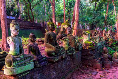 Chiang Mai, Tayland 'daki U Mong Tapınağı' nda Antik Enkaz Buda Heykeli. Yağmur mevsiminde üzerinde yosun olan eski bir Buda resmi.. 