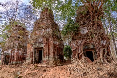Prasat Pram Tapınağı 'nın Koh Ker, Siem Reap, Kamboçya' daki harabelerinin etrafına sarılmış ağaç kökleri.