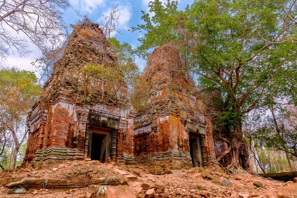 Prasat Pram Tapınağı 'nın Koh Ker, Siem Reap, Kamboçya' daki harabelerinin etrafına sarılmış ağaç kökleri.