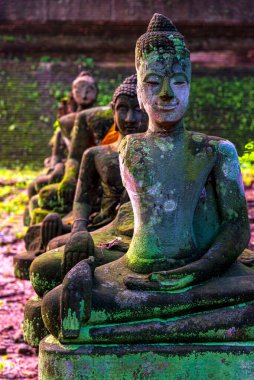 Chiang Mai, Tayland 'daki U Mong Tapınağı' nda Antik Enkaz Buda Heykeli. Yağmur mevsiminde üzerinde yosun olan eski bir Buda resmi.. 