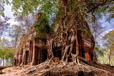 Prasat Pram Tapınağı 'nın Koh Ker, Siem Reap, Kamboçya' daki harabelerinin etrafına sarılmış ağaç kökleri.