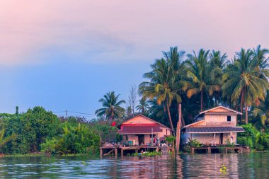 Tayland 'ın Surat Thani kentindeki Tapi Nehri kırsalında bir ev. Tayland kırsalında rıhtımda bir ev. 