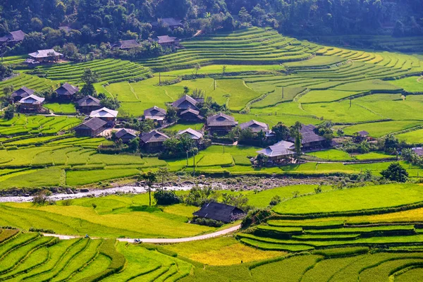 Rice Fields Terraced Beautiful Shape Valley View Road Nghia Cang — Stock Photo, Image