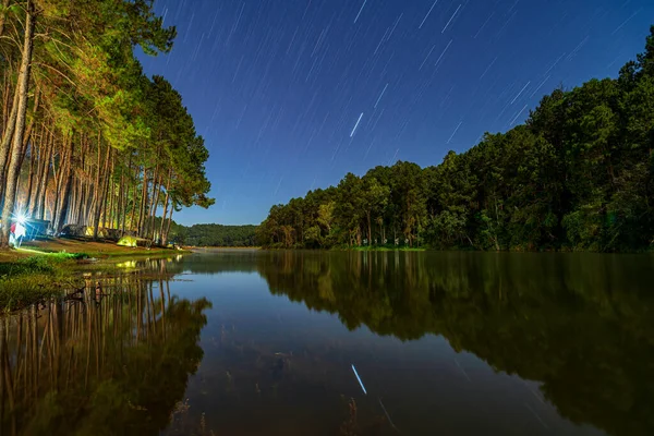 Paysage Camping Nocturne Avec Queue Étoilée Dans Forêt Pins Pang — Photo