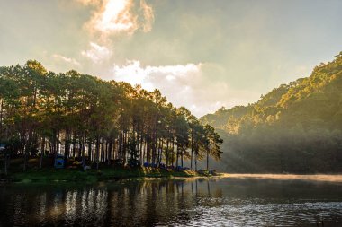 Sabahları güneş ışığının güzel manzarası ve Tayland 'da Pang-Ung kamp yeri Mae Hong Son' daki çam ağaçlarında göller. Tayland 'ın kuzeyinde ünlü bir turistik merkezdir..