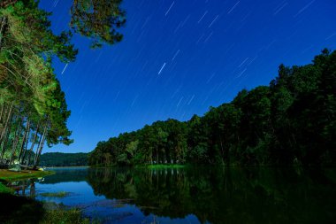 Pang-Ung çam ağaçları ve doğa, Mae hong oğlu, Tayland, Asya 'da yıldızların kuyruğuyla Gece Kampı. Tayland 'ın kuzeyinde ünlü bir turistik merkezdir..