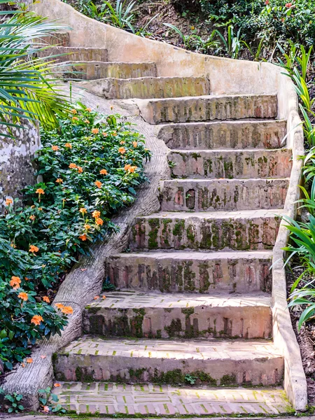 Cement stairs. — Stock Photo, Image