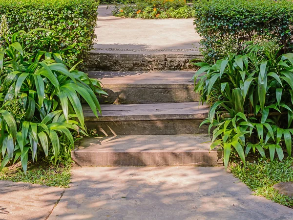 Cement stairs — Stock Photo, Image