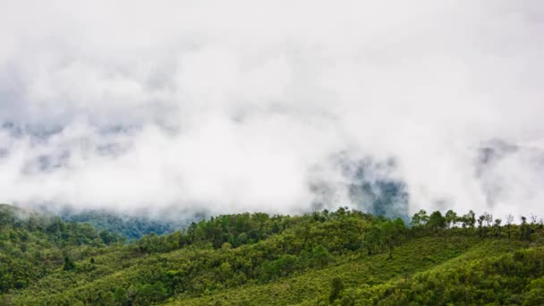 Nuages en marche . — Video