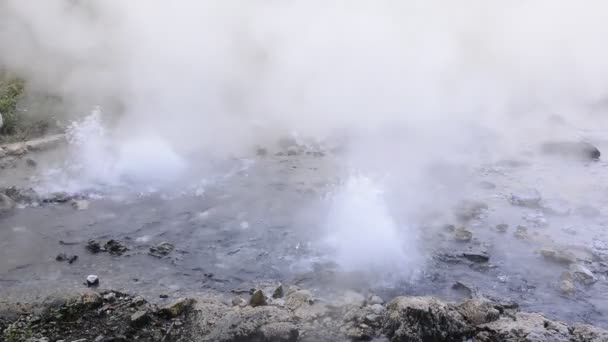Pong Dued Geyser. — Video Stock