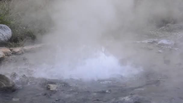 Pong Dued Geyser. — Stock Video