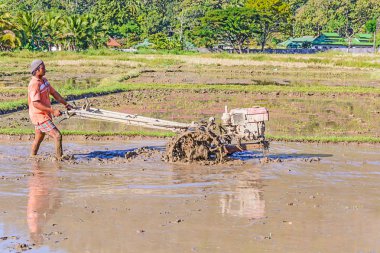 çiftçilik çiftçi.