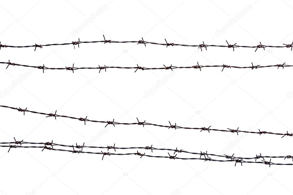Rusty barbed wire.