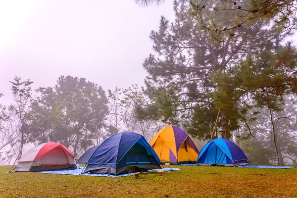 Touristic tent. — Stock Photo, Image