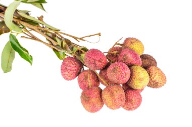 Lychee.