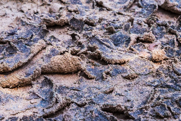 Cracked soil. — Stock Photo, Image