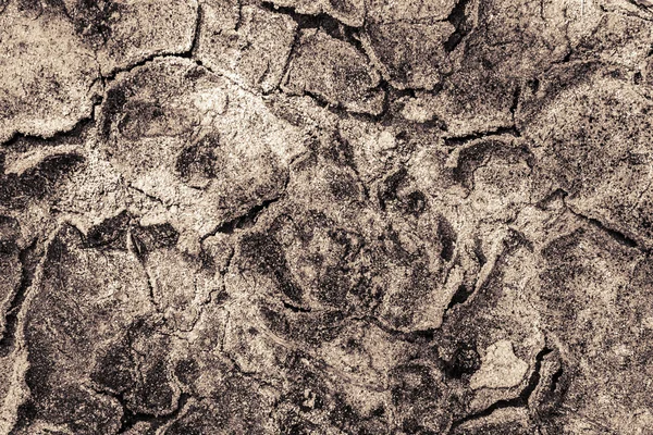 Потерянная почва . — стоковое фото