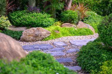 Japon tarzı bir bahçede çimlerin arasında yürüyen bir taş. Bahçede peyzaj.
