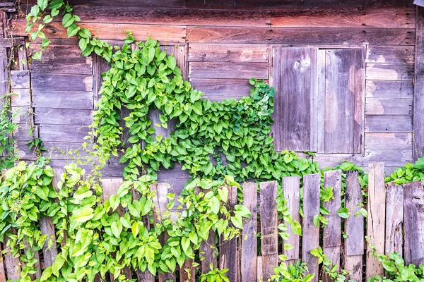 Old wooden wall. — Stock Photo, Image