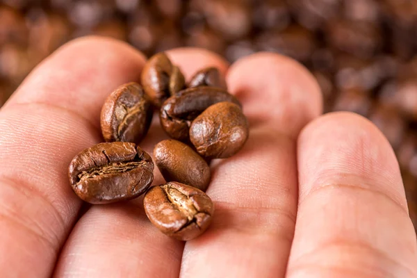 Frische Kaffeebohnen. — Stockfoto