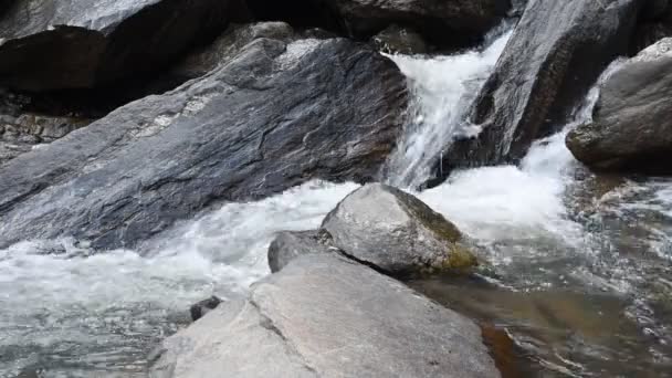 Mountain stream running over rocks. — Stock Video