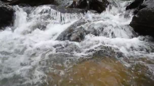 Gebirgsbach fließt über Felsen. — Stockvideo