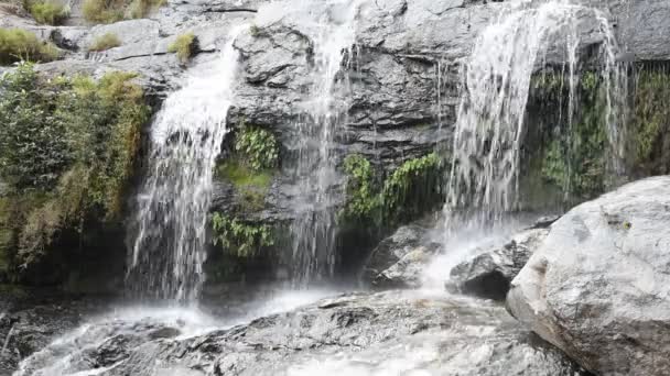 Arroyo de montaña corriendo sobre rocas . — Vídeo de stock