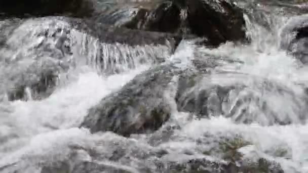 Gebirgsbach fließt über Felsen. — Stockvideo