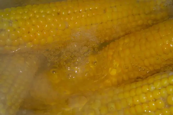 Fresh Boiled Young Corn Close Home Cooking — Stock Photo, Image