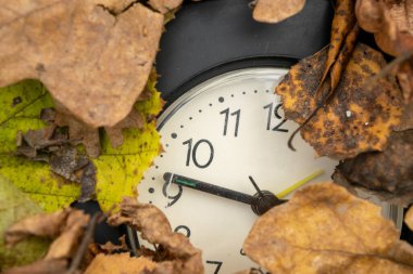 Düşen sonbahar yaprakları arasında klasik masa saati