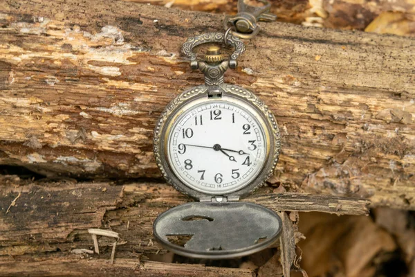 Open Vintage Pocket Watch Lying Fallen Logs — Stock Photo, Image