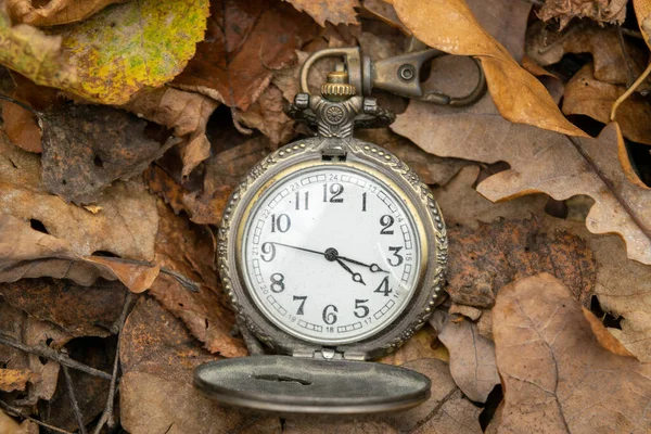 Vintage Zsebóra Fekszik Földön Környéken Őszi Levél — Stock Fotó