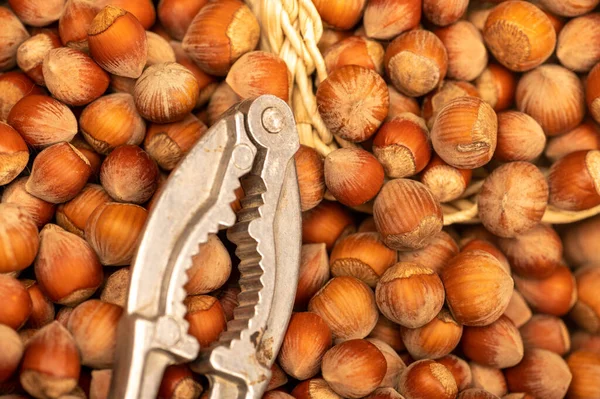 Hazelnuts in a wicker basket, loose nuts and iron tongs for splitting nuts. It\'s time for the autumn harvest. Close-up, selective focus
