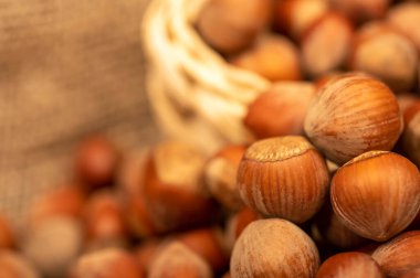 Hasır sepette fındıklar ve gevşek fındıklar. Sonbahar hasadı zamanı. Yakın çekim, seçici odaklanma