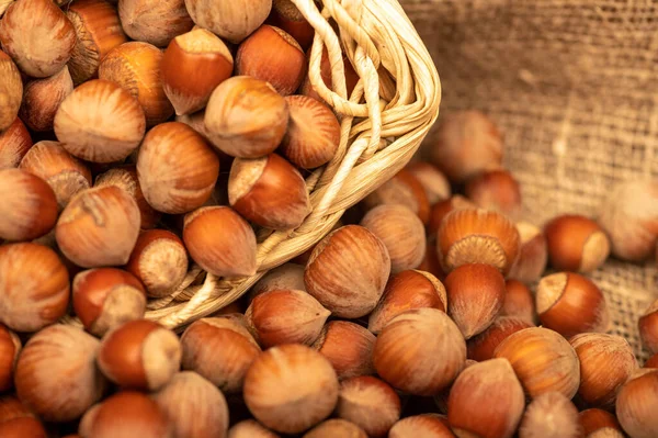 Hazelnuts in a wicker basket and loose nuts. It\'s time for the autumn harvest. Close-up, selective focus