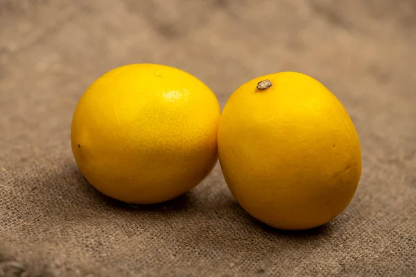 Yapımı Kumaşın Kabataslak Desenli Arka Planında Olgun Limonlar Yakın Çekim — Stok fotoğraf