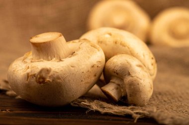 Masada taze taze mantarlar var. Seçici odaklanmayı kapat