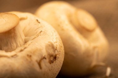 Masada taze taze mantarlar var. Seçici odaklanmayı kapat