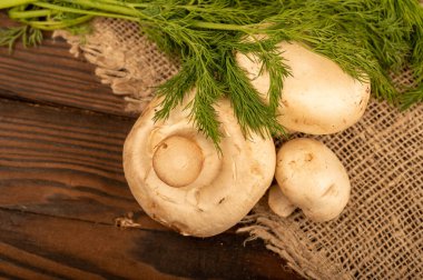 Taze taze mantarlar ve masada sulu yeşil dereotu. Seçici odaklanmayı kapat.