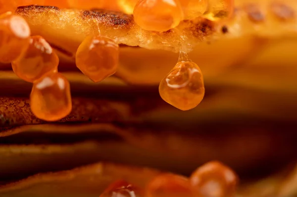 Panquecas Russas Tradicionais Com Caviar Salmão Vermelho Semana Encolhimento Reunião — Fotografia de Stock